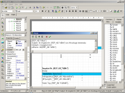 Beispiel einer Anpassung im Druck-Report der Software